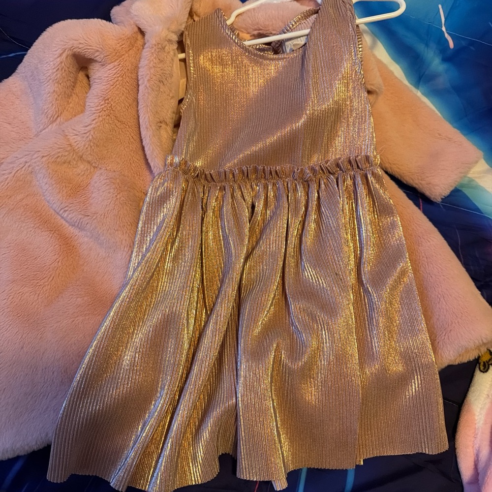 Nannette Pink Faux Fur Coat and Dress size 4T - Picture 4 of 7